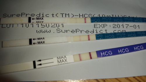 SurePredict® Pregnancy Test