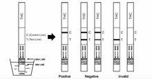 Extra-Sensitive Marijuana Urine Test Strips (no cups included)
