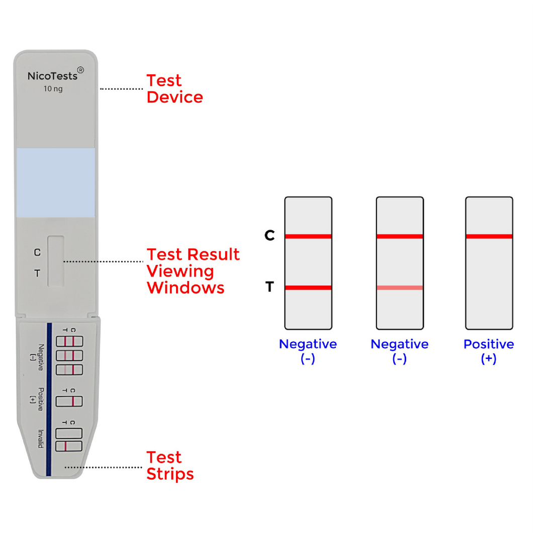 does tobacco show on urine test Cotinine For Nicotine FAQ How Long Does Nicotine Stay
